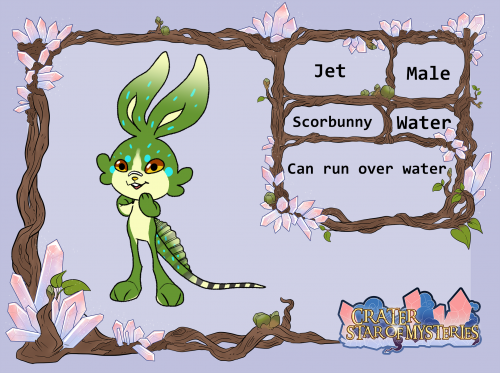 [PKMN CRATER] Jet