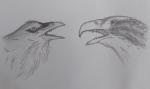 [Arenageddon] Beaks