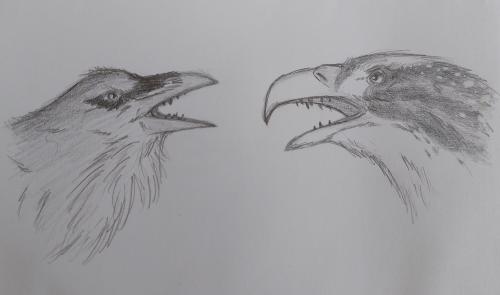 [Arenageddon] Beaks