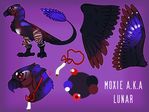 Moxie Ref