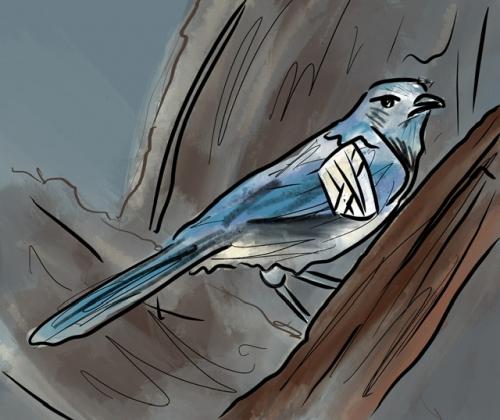 Merry Scrub Jay