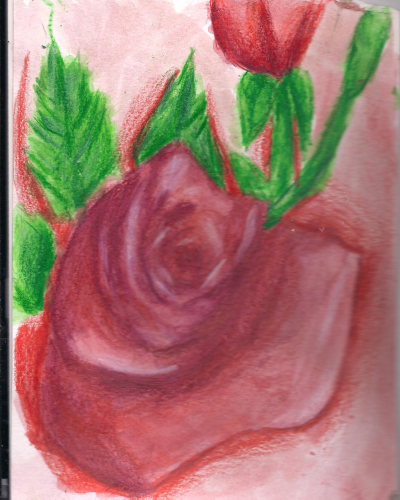 Watercolour rose