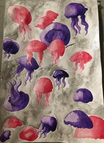 Jellyfishes