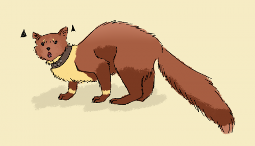 Bee the marten