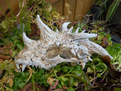 Gremlin/Dragon skull