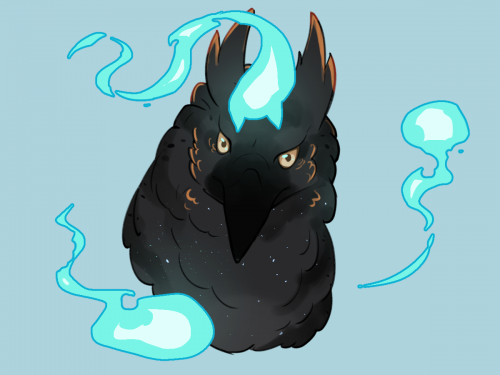 Cat wisp?