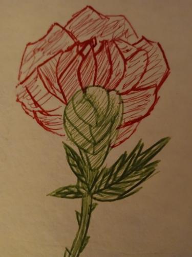 A Flower Doodle