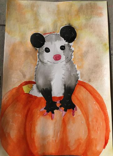 Possum Pumpkin