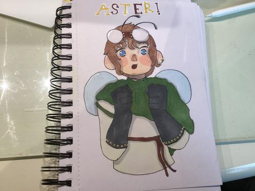 Aster!