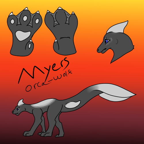 Myers the orca-wolf