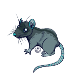 Companion Rat!