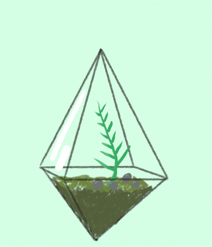 Terrarium