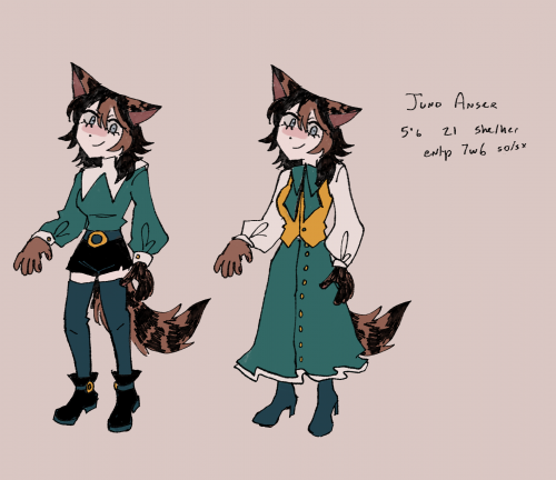 Juno Anser Reference Sheet