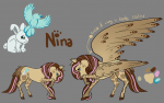 Reference for Nina