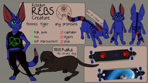 Rebs' New Reference