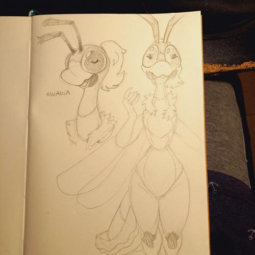 bug picture (sketch page)