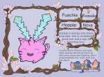 Fuschia Card