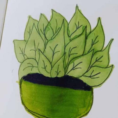 potted plant