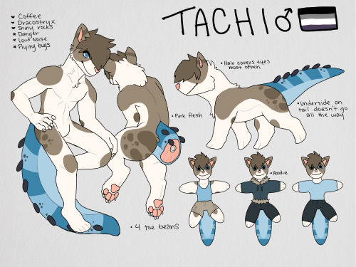 Tachi [Reference]