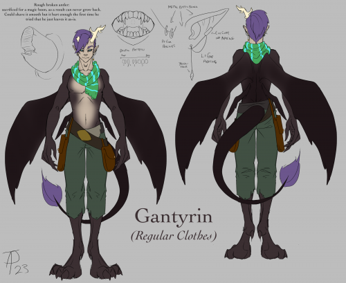 Gantyrin Turnaround - Daily Wear