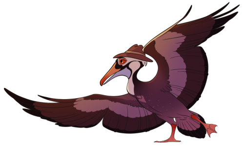 Fizz Pelican