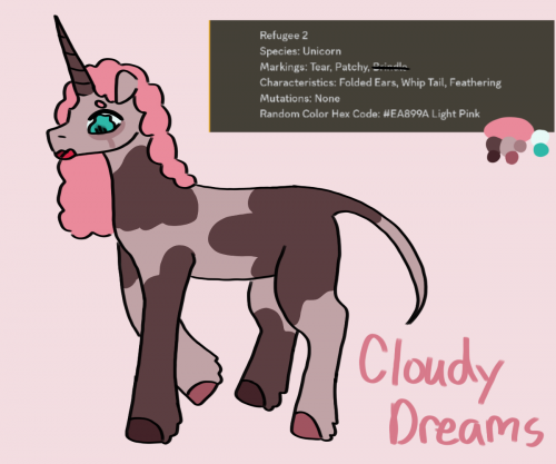 Cloudy Dreams ref