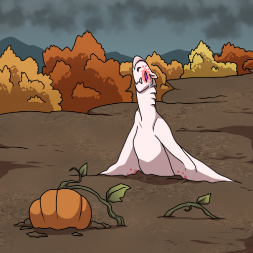 A muddy Pumpkin Patch - Growloween 2023