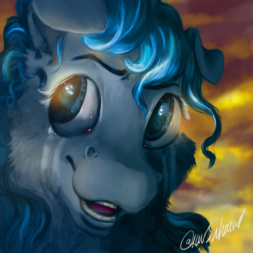 Arctic Breeze portrait