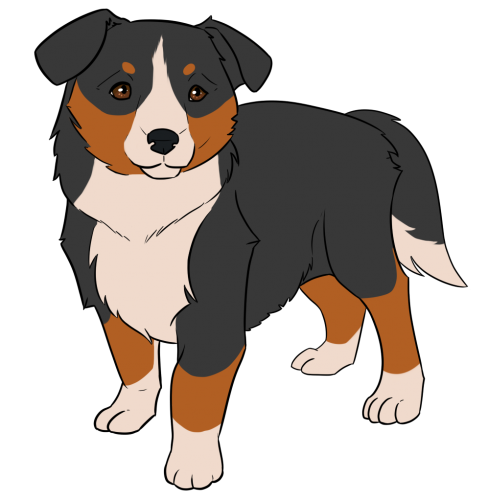 +3 Working English Shepherd Dog Pet