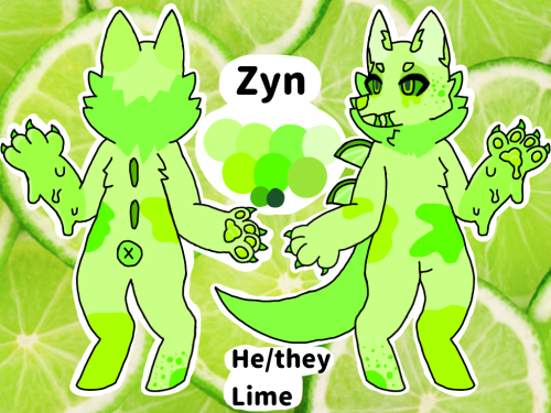 Zyn reference sheet