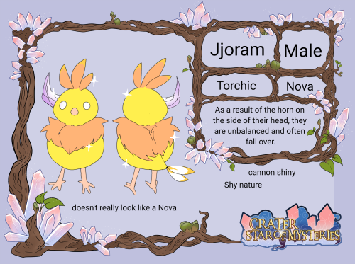 Jjoram the Torchic