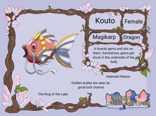Kouto the dragon magikarp
