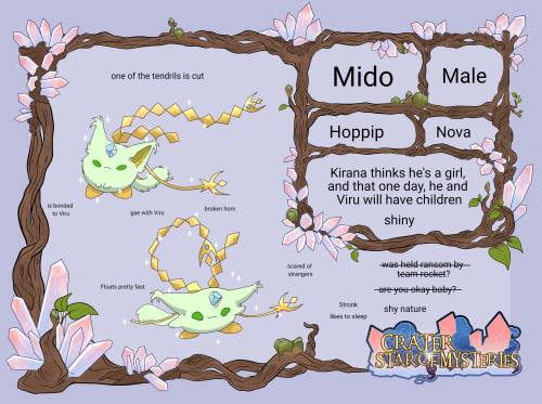 Mido the shiny Nova hoppip