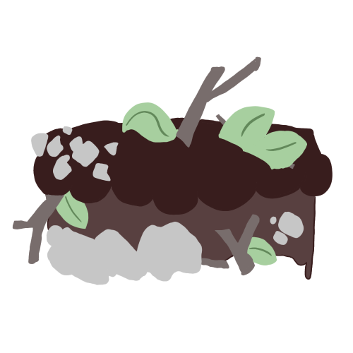 Mud Cake