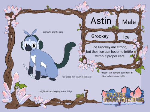 Astin the Ice Grookey