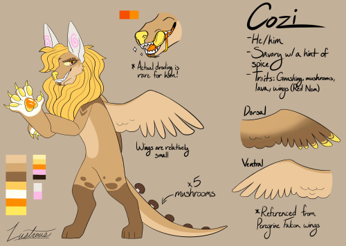 Updated Cozi Reference