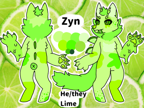 Zyn Refrence Sheet