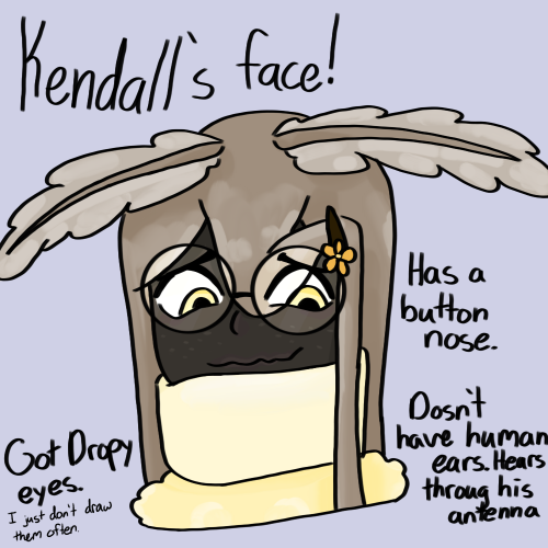 Kendall's face (ref)