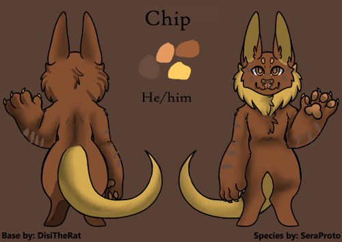 Chip