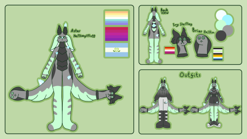 Aster Ref Sheet