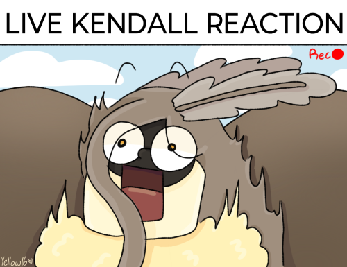 Live Kendall Reaction