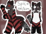 Spice Ref (Adult)
