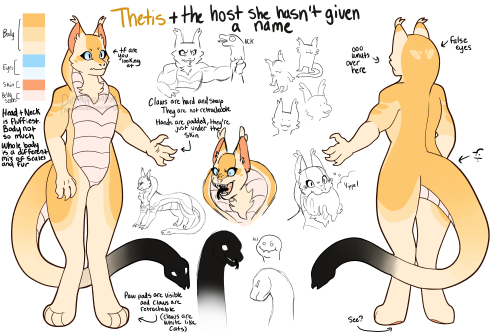 Thetis Big Ref