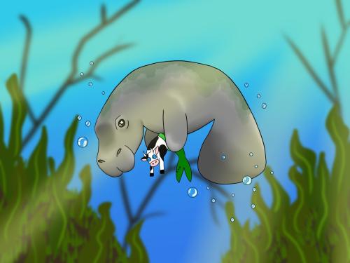 Barbo the Seacow