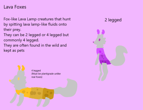 Lava Foxes