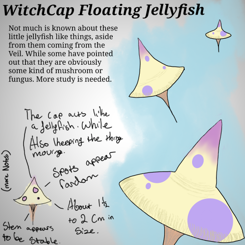 witchcap floating jellyfish