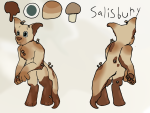 salisbury ref sheet