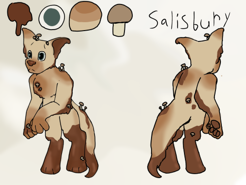 salisbury ref sheet