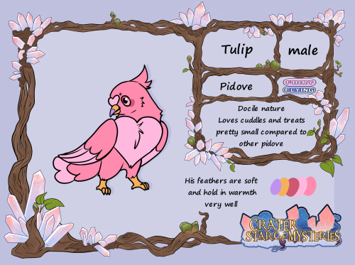 Tulip ref