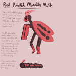 Red-Pointed Mantis Moth